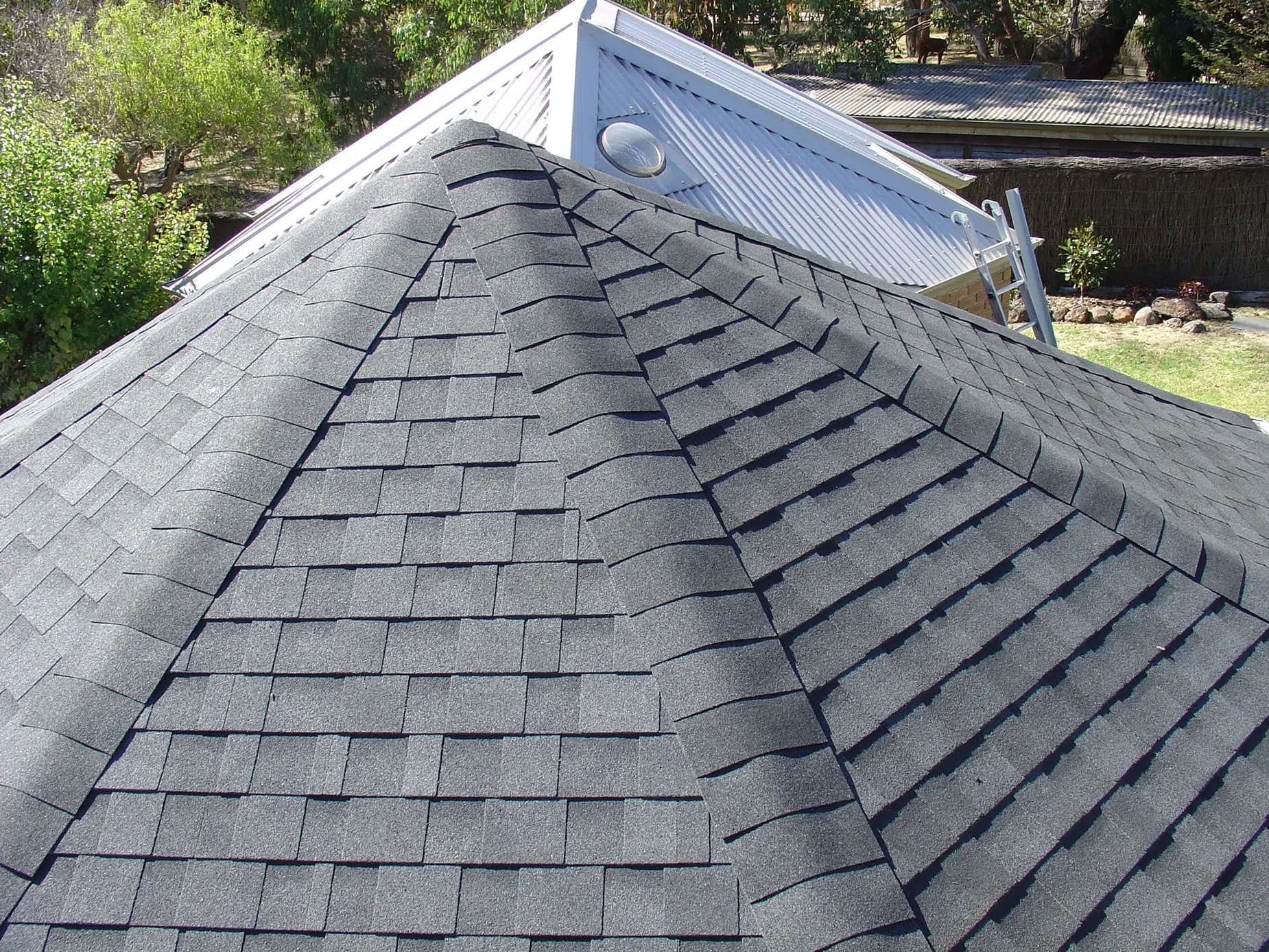 Need New Shingles?